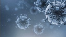 Corona-Pandemie: Mutation ist schuld an der starken Verbreitung