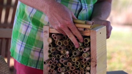 Atelier jardin - Réaliser un refuge d'insectes
