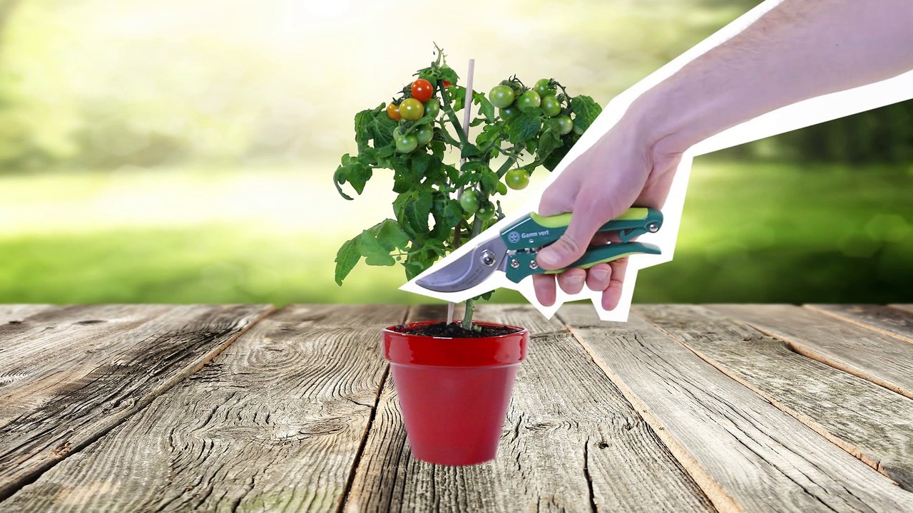 Atelier jardin - Comment planter un arbre en motte ?