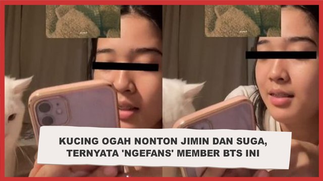 Viral Kucing Ogah Nonton Jimin dan Suga, Ternyata 'Ngefans' Member BTS Ini