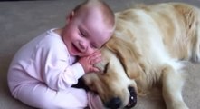 Ce bébé s'amuse avec un chien très patient. Un duo qui va vous faire craquer