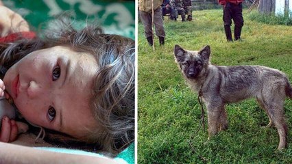 Cette fillette n'aurait pas dû survivre après 11 jours dans le désert de Sibérie. Mais son chien a fait l'impossible