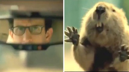 Parfois, ce sont les animaux qui sauvent la vie des hommes. Cette vidéo le prouve