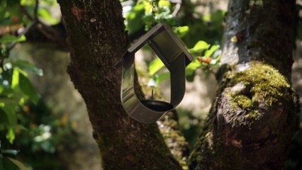 Journée de la rénovation - Rénovation dans le Loire-et-Cher d'une maison d'une surface de 160m2