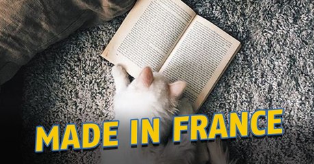 Chasseurs de Livres, le groupe Facebook qui proposé un jeu Pokémon Go avec des livres