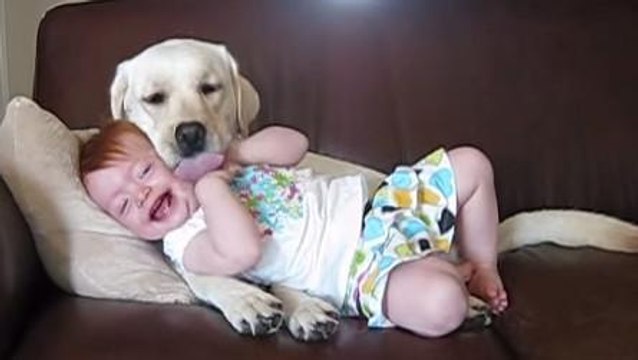La complicité entre cet enfant et ce chien est surprenante. Ils sont inséparables !