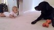 Ce bébé rampe pour la première fois sous les encouragements de son chien. Un duo à croquer !