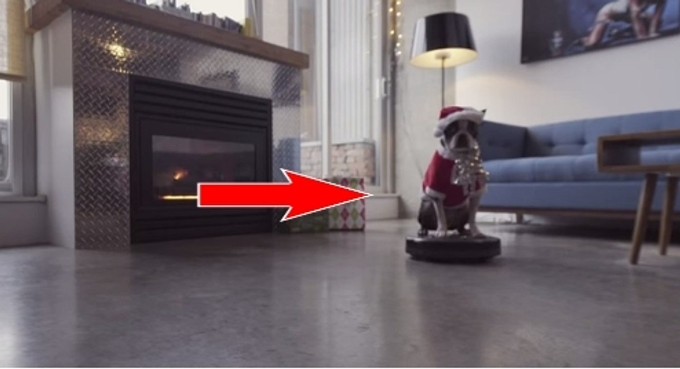 Ce chien a une drôle de manière de nous souhaiter de joyeuses fêtes. Il va vous faire rire