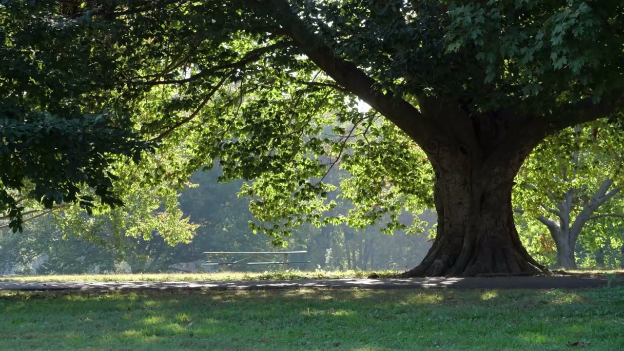 Neue Corona-Studie belegt: Wer langsam geht, hat ein höheres Risiko!