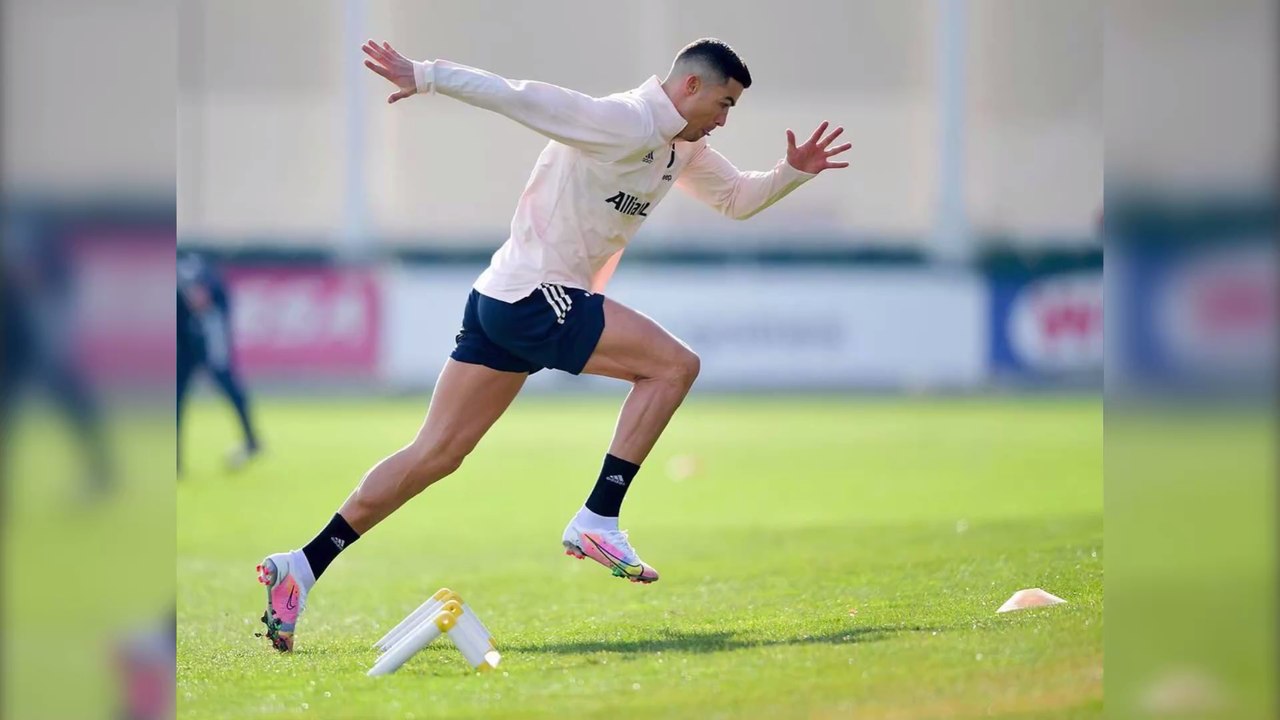 Tierische Reha: Ronaldos Kater schwer verunglückt