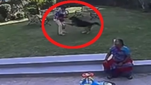 Ce garçon de 10 ans a sauvé sa petite soeur, attaquée par un chien agressif