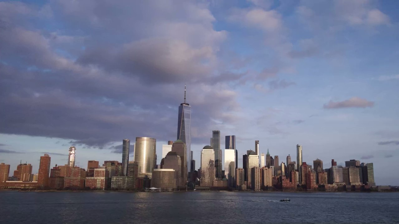 Behörden machen erschreckenden Fund: Mann hält sich 7 Haie im Pool!