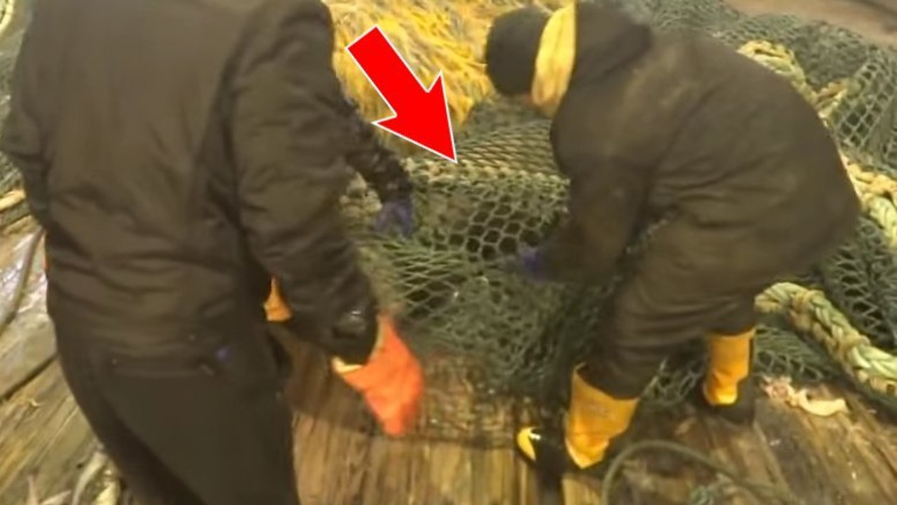 Ces pêcheurs vont avoir une sacrée surprise en ouvrant leur filet. Vous n'allez pas en revenir