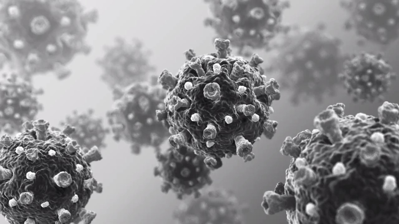Die nächste Pandemie? Wissenschaftler entdecken tödliches Virus RpYN0 in China