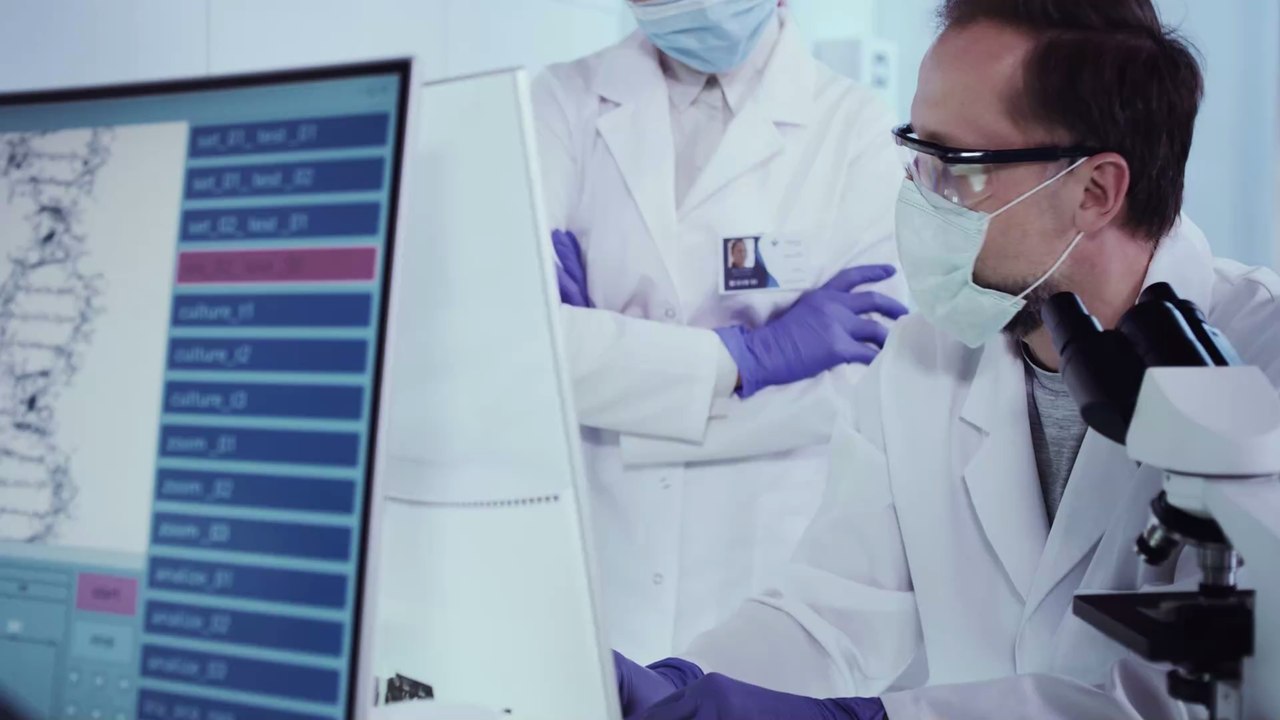 Hybrid aus Mensch und Affe: Der Wissenschaft gelingt Durchbruch in der Chimärenforschung