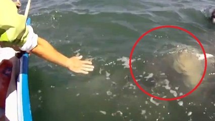 Ces touristes ont fait une rencontre incroyable pendant une balade en bateau