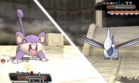 Pokémon : sa technique lui permet de gagner avec un Rattata niveau 1 à la Ligue Pokémon