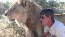 Depuis 11 ans, ce lion et cet homme sont les meilleurs amis du monde. Ils sont adorables