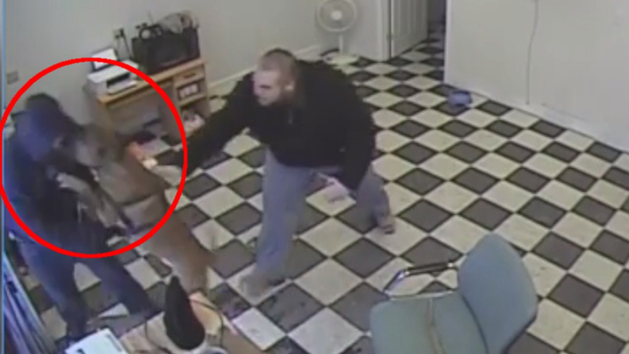 Ce chien a fait quelque chose d'incroyable quand un braqueur s'en est pris à son maître