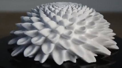 Ce bibelot a l'air normal. Mais vous allez halluciner quand il va se mettre à bouger