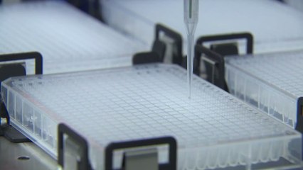 Nur noch die Hälfte Impfstoff für Hausärzte: Das zögert Herdenimmunität weit hinaus