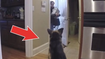 Il effraie sa mère avec un faux chien. Sa réaction est géniale