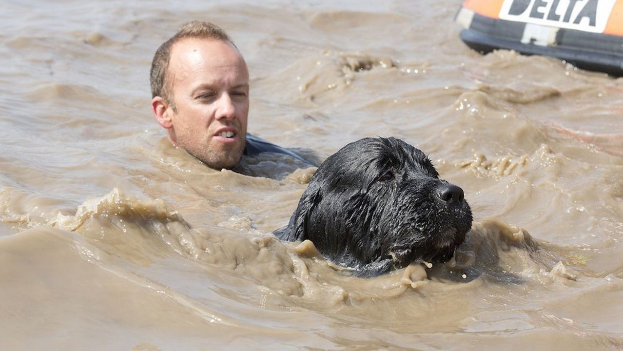Cet homme fait semblant de se noyer dans un lac. La réaction de son chien est incroyable