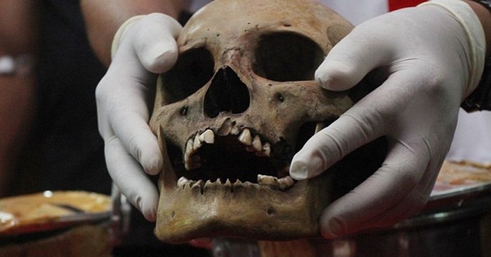 Inside : le studio Playdead explique avoir utilisé un crâne humain pour le design sonore du jeu