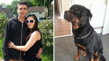 Ce chien a sauvé sa maîtresse enceinte de 5 mois !