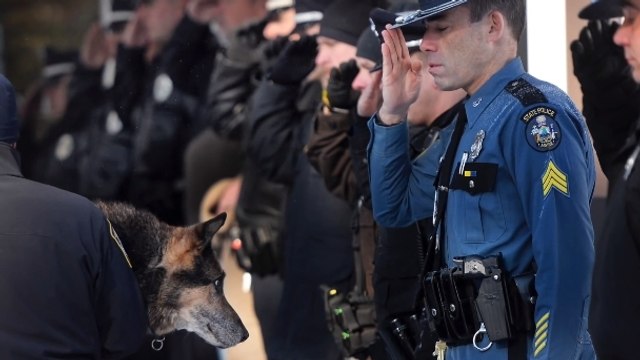 Des officiers de police accompagnent leur chien pour sa dernière visite chez le vétérinaire