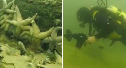 Après une tempête ce couple fait une découverte fantastique sur la côte du nord à Norfolk en Angleterre