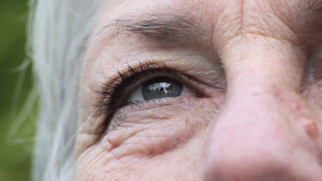 Wissenschaftliche Studie enthüllt maximale Lebensdauer eines Menschen