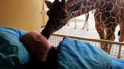 Une association réalise les derniers voeux des personnes mourantes