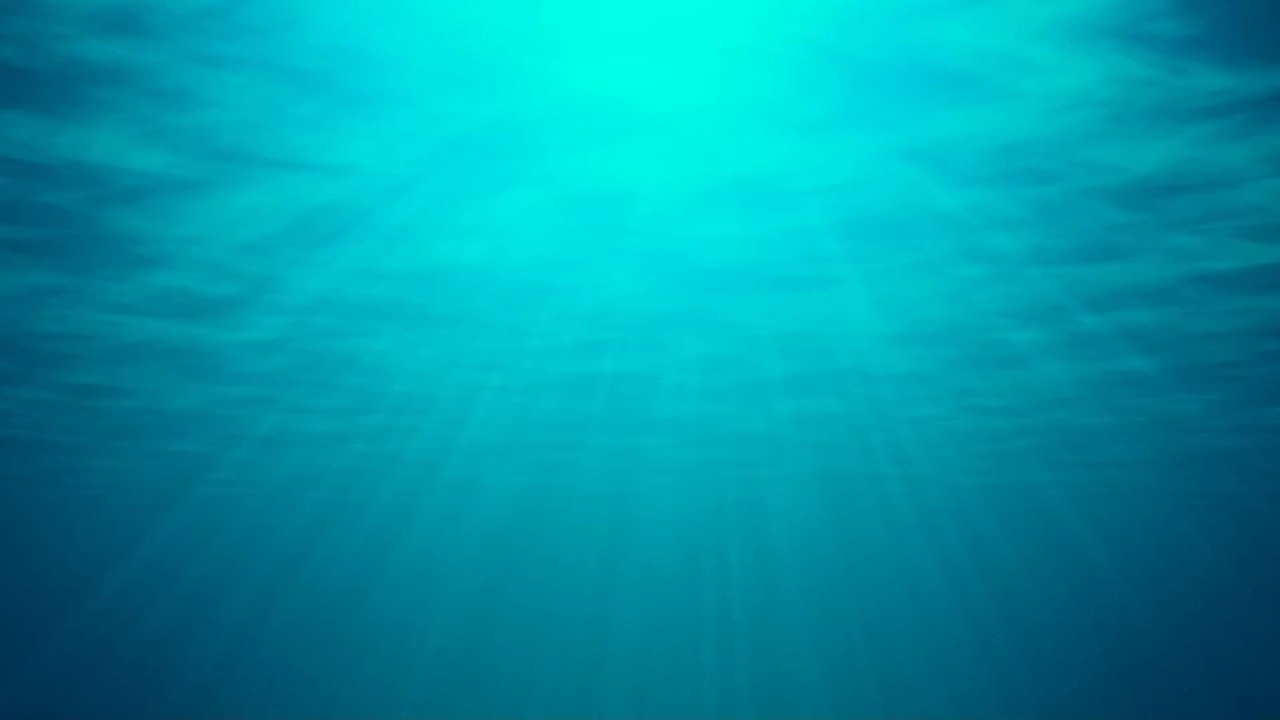 Experiment auf hoher See: Nachdem sie Alligatoren ins Meer geworfen haben, machen sie eine gruselige Entdeckung