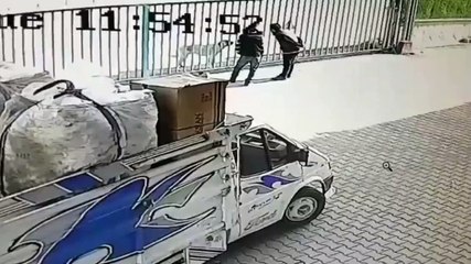 Bekçi köpeğine artistlik yaparken hayatlarının şokunu yaşayan elemanlar 