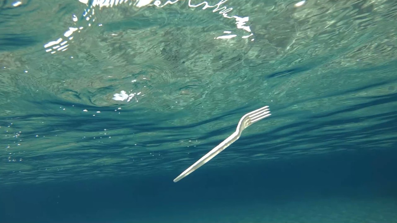 Ein Verbot von Wegwerfprodukten tritt in der ganzen EU in Kraft