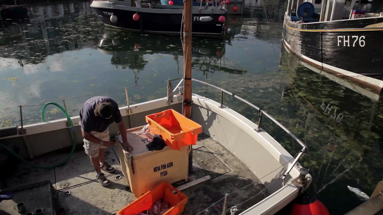 Fischer macht Fang mit absolutem Seltenheitswert: Der Hummer kommt einem Lottogewinn gleich