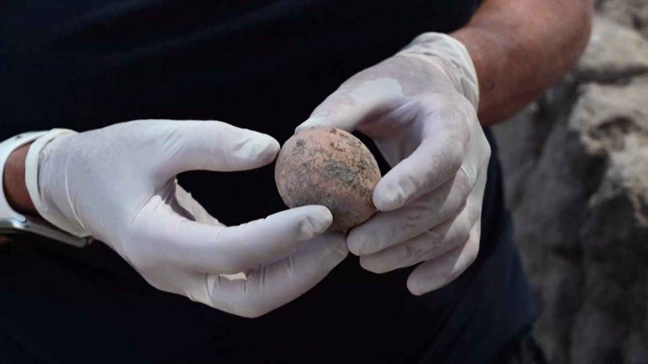 Israel: Archäolog:innen finden 1.000 Jahre altes Ei.. und zerbrechen es