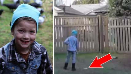 Depuis toute petite, cette fillette nourrit les oiseaux. Et ils la remercient d'une façon incroyable