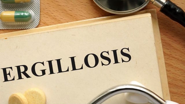 Grüner Pilz in Indien aufgetaucht: Die Epidemie der Pilzinfektionen nimmt weiter zu