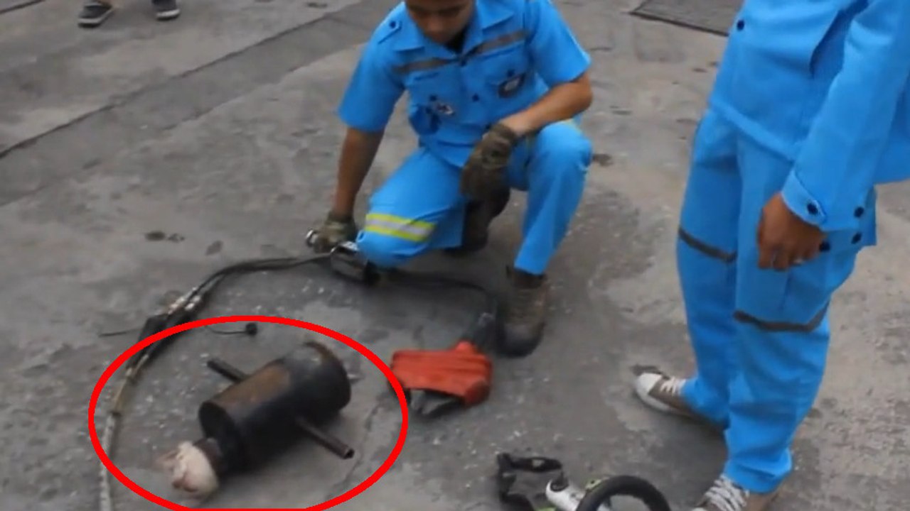 Ils ont entendu du bruit dans ce tuyau. Ce qu'ils y ont trouvé va vous laisser sans voix