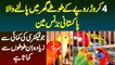 4 Crore Ke Parrots Ghar Me Palne Wala Pakistani Businessman Jo Factory Ki Kamai Se Ziada Kamata Hai