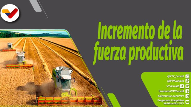 Boza con Valdez | Funcionamiento de las fuerzas productivas para el desarrollo de Venezuela