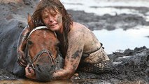 Ce cheval était condamné à mourir coincé dans la boue. Mais une équipe est venue à son secours