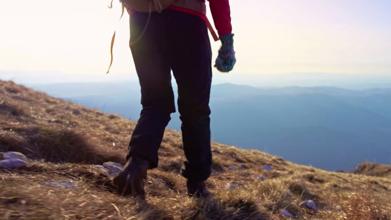 Blinder Passagier: Mann fliegt ohne seines Wissens mit Schlange im Rucksack und bringt sich in große Gefahr
