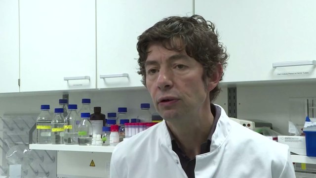 China stellt sich bei Untersuchungen der WHO quer