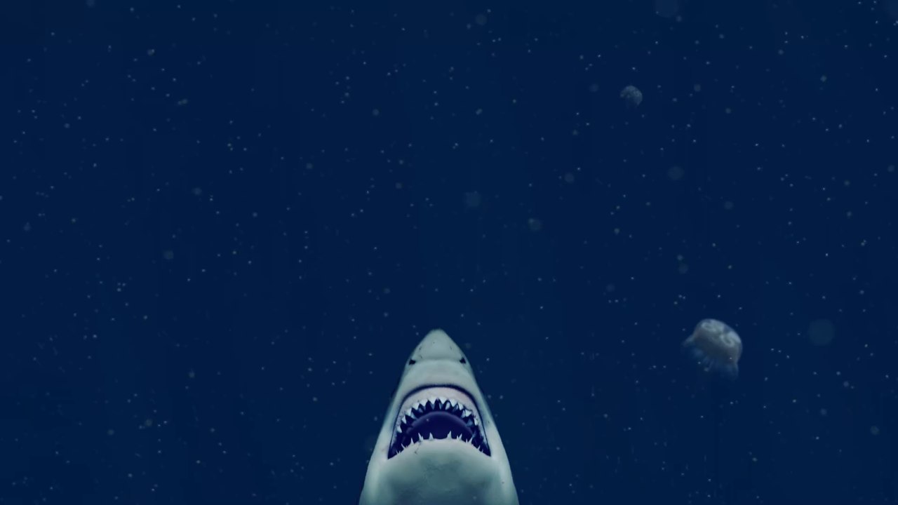 Australien: Taucher entkommt 30-minütigem Hai-Angriff (Video)