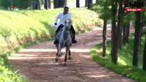 فيديو دعائي جديد يظهر كيم جونغ أون على ظهر حصان أبيض