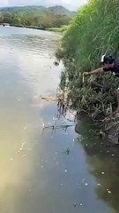 Un homme est coincé face à un crocodile et ne peut rien faire (Costa Rica)