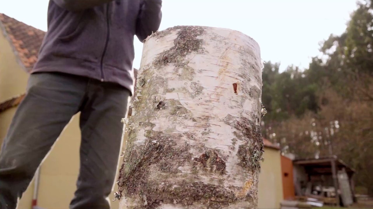 Nach Schlangenbiss: Warum sich dieser Mann einen Finger abschneidet